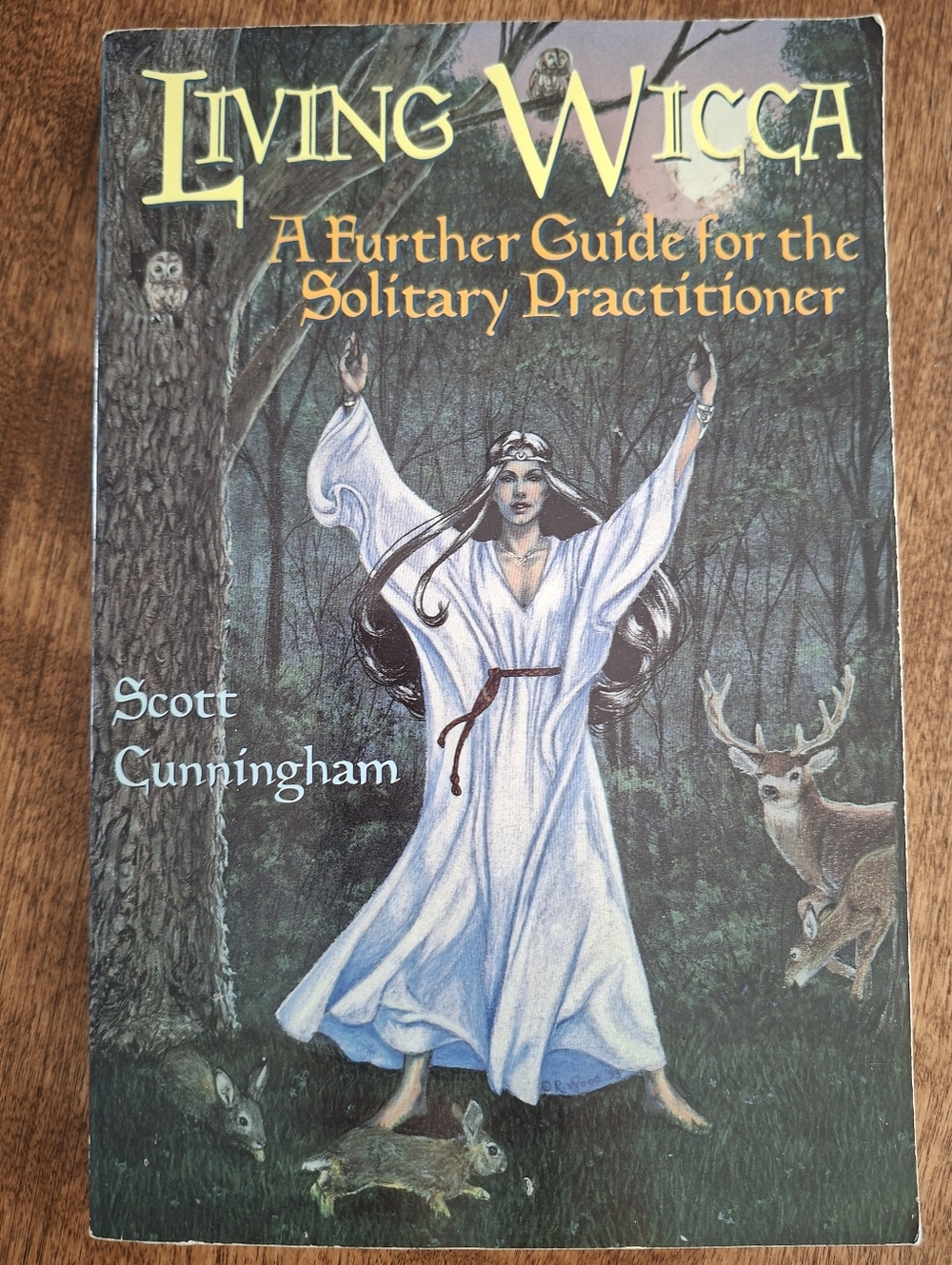 Wicca Alchemy Crystal Druidry Charms Practical Rituals Books Lot Of 5 - Picture 2 of 12